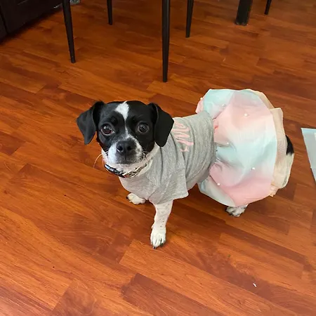 In 4 Bedroom Penthouse With Stunning Patio Puerto de Santiago (Tenerife)